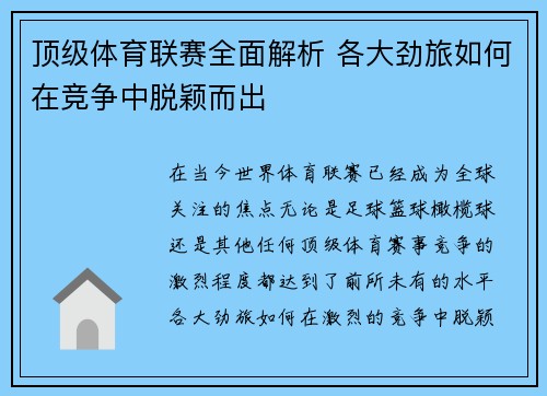 顶级体育联赛全面解析 各大劲旅如何在竞争中脱颖而出